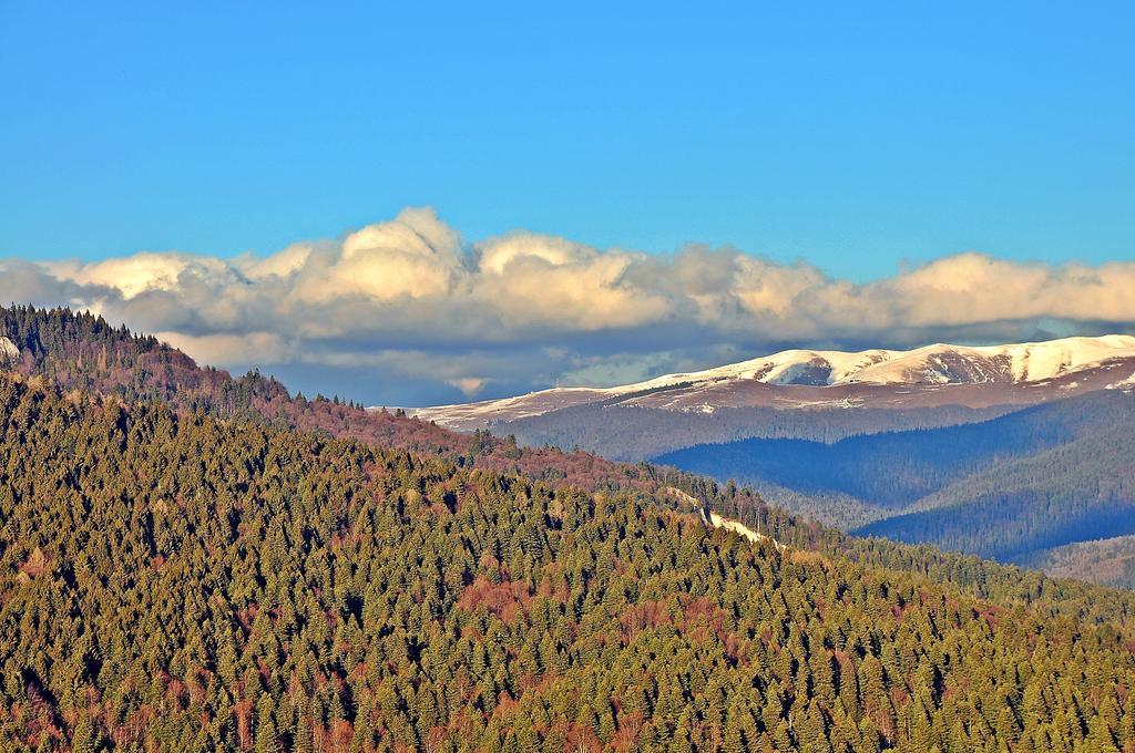 Complex Hotelier Cota O Mie Sinaia Luaran gambar