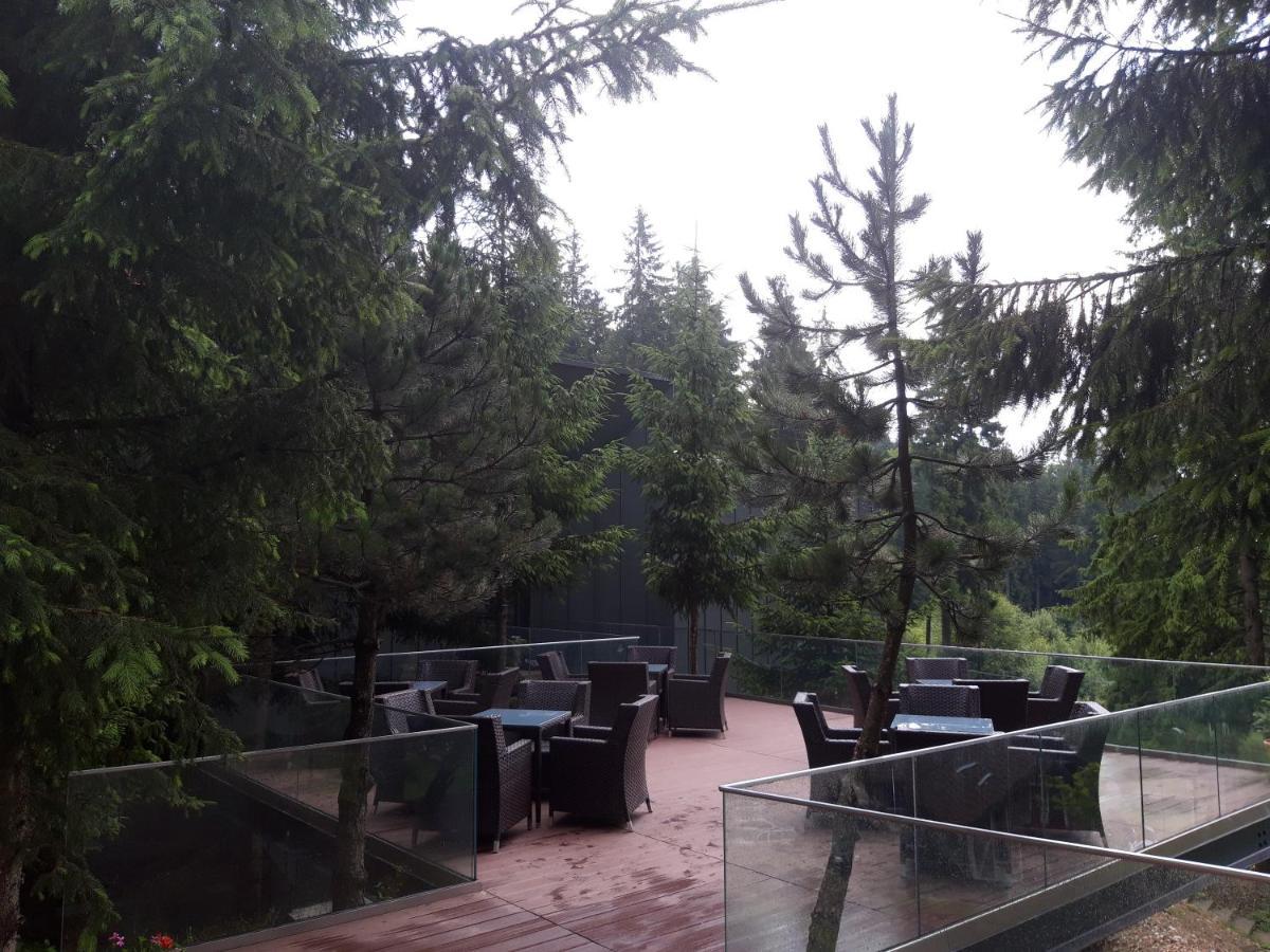 Complex Hotelier Cota O Mie Sinaia Luaran gambar